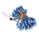 DC5V 5M 50PCS 21W WS2811 RGB IP68 Full Color LED Pixel Module Strip Light with DC Connector DC5V 5M 50PCS 21W WS2811 RGB IP68 Full Color LED Pixel Module Strip Light with DC Connector