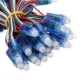 DC5V 5M 50PCS 21W WS2811 RGB IP68 Full Color LED Pixel Module Strip Light with DC Connector DC5V 5M 50PCS 21W WS2811 RGB IP68 Full Color LED Pixel Module Strip Light with DC Connector