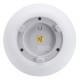 12/15CM Mood Table Lamp LED Smart Night Light RGBCW APP Control for Alexa/Google Home 12/15CM Mood Table Lamp LED Smart Night Light RGBCW APP Control for Alexa/Google Home