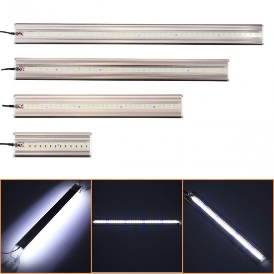 13/30/40/50cm Fish Tank Lamp LED Energy-Saving Blue+White Light Line Switch 13/30/40/50cm Fish Tank Lamp LED Energy-Saving Blue+White Light Line Switch