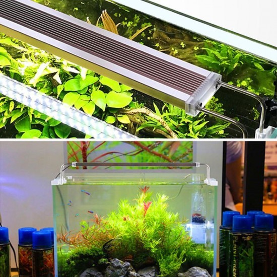 13/30/40/50cm Fish Tank Lamp LED Energy-Saving Blue+White Light Line Switch 13/30/40/50cm Fish Tank Lamp LED Energy-Saving Blue+White Light Line Switch