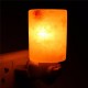 15W Mini Hand Carved Natural Crystal Himalayan Salt Lamp Night Light