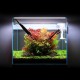 18-48CM Fish Tank Lamp Aquarium LED Lighting With Extendable Brackets White And Blue LEDs Fits for Aquarium