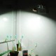 1W Flexible USB Wood LED Reading Lamp Night Light for Computer Notebook PC Laptop Power Bank 1W Flexible USB Wood LED Reading Lamp Night Light for Computer Notebook PC Laptop Power Bank