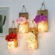 2 Pcs LED Copper Wire Light Mason Jar Flower Room Decor Wall Light for Garden Patio Living Room Bedroom