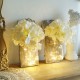 2 Pcs LED Copper Wire Light Mason Jar Flower Room Decor Wall Light for Garden Patio Living Room Bedroom 2 Pcs LED Copper Wire Light Mason Jar Flower Room Decor Wall Light for Garden Patio Living Room Bedroom