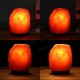 20 X 16CM Natural Himalayan Ionic Air Purifier Crystal Salt Lamp Table Night Light