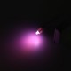 24 Colours Motion Sensor LED Night Light Toilet Light Bowl Bathroom Lamp