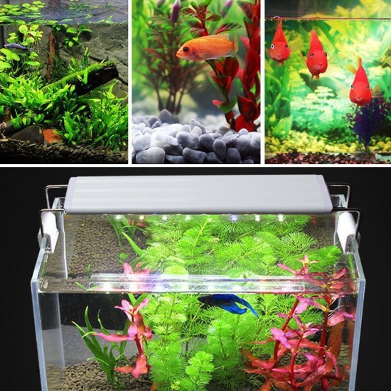 3/5/7/9W 220V US Plug Fish Tank Lamp LED Energy-Saving Blue+White Light Line Switch 3/5/7/9W 220V US Plug Fish Tank Lamp LED Energy-Saving Blue+White Light Line Switch