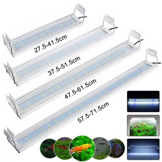 3/5/7/9W 220V US Plug Fish Tank Lamp LED Energy-Saving Blue+White Light Line Switch 3/5/7/9W 220V US Plug Fish Tank Lamp LED Energy-Saving Blue+White Light Line Switch