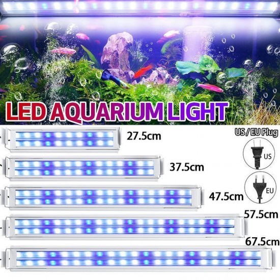 3/5/7/9W 220V US Plug Fish Tank Lamp LED Energy-Saving Blue+White Light Line Switch 3/5/7/9W 220V US Plug Fish Tank Lamp LED Energy-Saving Blue+White Light Line Switch