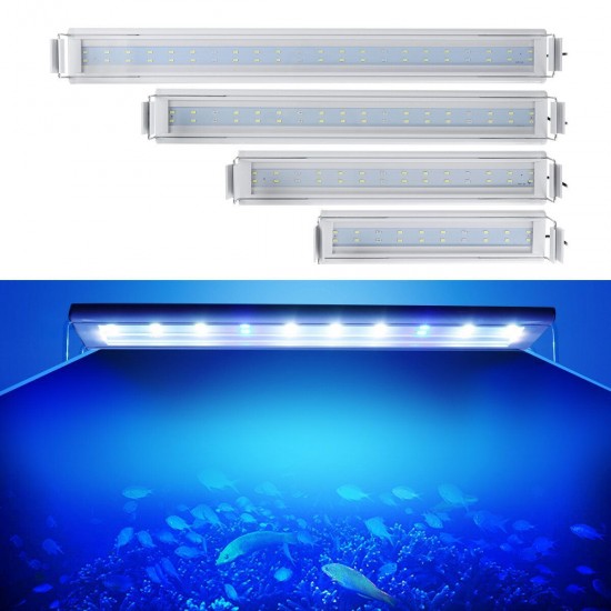 3/5/7/9W 220V US Plug Fish Tank Lamp LED Energy-Saving Blue+White Light Line Switch 3/5/7/9W 220V US Plug Fish Tank Lamp LED Energy-Saving Blue+White Light Line Switch