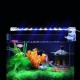 3/6/9/12W LED Aquarium Clip Light Fish Tank Aquatic Plant Lamp Decor 110-240V 3/6/9/12W LED Aquarium Clip Light Fish Tank Aquatic Plant Lamp Decor 110-240V