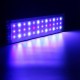 45CM 18W Touch Switch LED Aquarium Light Clip Two Modes Fish Tank Lamp Plant Grow Light 220V 45CM 18W Touch Switch LED Aquarium Light Clip Two Modes Fish Tank Lamp Plant Grow Light 220V