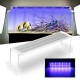 45CM 18W Touch Switch LED Aquarium Light Clip Two Modes Fish Tank Lamp Plant Grow Light 220V 45CM 18W Touch Switch LED Aquarium Light Clip Two Modes Fish Tank Lamp Plant Grow Light 220V