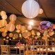 50 Pcs White Ball Lamps LED Light Paper Lantern Balloons Wedding Party Christmas Halloween Decor 50 Pcs White Ball Lamps LED Light Paper Lantern Balloons Wedding Party Christmas Halloween Decor