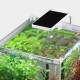 5W LED Blue&White Aquarium Lighting for For Fish Tank AC220V 5W LED Blue&White Aquarium Lighting for For Fish Tank AC220V