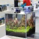 5W LED Blue&White Aquarium Lighting for For Fish Tank AC220V 5W LED Blue&White Aquarium Lighting for For Fish Tank AC220V
