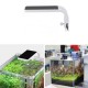 5W LED Blue&White Aquarium Lighting for For Fish Tank AC220V 5W LED Blue&White Aquarium Lighting for For Fish Tank AC220V