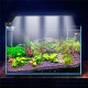 6W 23cm Blue & White LED Adjustable Aquarium Fish Tank Lamp Super Slim Clip On Light