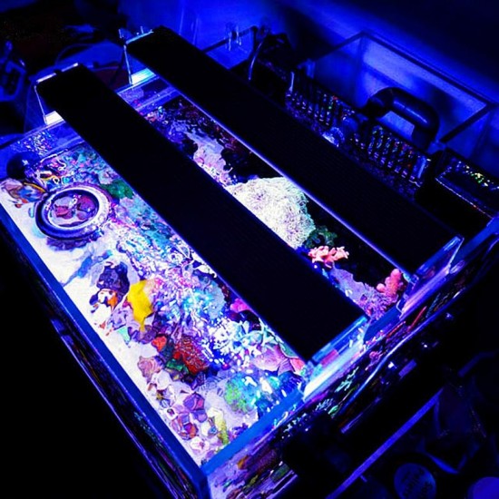 A501M 33W 50CM 5730 99SMD 3800LM LED Coral SPS LPS Aquarium Tank Lamp