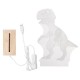 Acrylic USB 3D Dinosaur LED Desk Lamp Night Light Kid Cartoon Lantern Gifts Acrylic USB 3D Dinosaur LED Desk Lamp Night Light Kid Cartoon Lantern Gifts