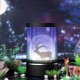 Animation LED Night Light with Remote Control Romantic Universe Starry Sky Projection Light USB Charging Portable Night Light Christmas Decoration