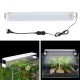 Aquarium Fish Tank EU Plug LED Light Over-Head Blue+White Lamp Plants Moon Lighting Aquarium Fish Tank EU Plug LED Light Over-Head Blue+White Lamp Plants Moon Lighting