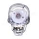 Color Changing LED Skull Night Light Sucker Halloween Party Home Decor Color Changing LED Skull Night Light Sucker Halloween Party Home Decor