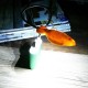 Creative Cute Animal Shape LED USB Night Light For Notebook PC Laptop Power Bank Creative Cute Animal Shape LED USB Night Light For Notebook PC Laptop Power Bank
