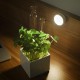 DG-DZ18 6pcs Colorful Wireless LED Night Light Remote Control Dimmable Lamps for Cabinet Closet DG-DZ18 6pcs Colorful Wireless LED Night Light Remote Control Dimmable Lamps for Cabinet Closet