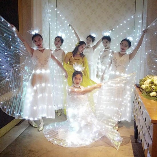 LED Isis Wings Night Light Glow Up Lamp Costume Belly Dance Egyptian Club Show With Stick LED Isis Wings Night Light Glow Up Lamp Costume Belly Dance Egyptian Club Show With Stick