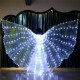 LED Isis Wings Night Light Glow Up Lamp Costume Belly Dance Egyptian Club Show With Stick LED Isis Wings Night Light Glow Up Lamp Costume Belly Dance Egyptian Club Show With Stick