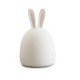 1W USB Rabbit LED Night Light Silicone Pat Control Multicolor for Children Baby Moon Lamp