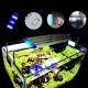 Super Slim LEDs Aquarium Lighting Aquatic Plant Light 20-60CM Extensible Waterproof Clip on Lamp For Fish Tank Blue White Light Super Slim LEDs Aquarium Lighting Aquatic Plant Light 20-60CM Extensible Waterproof Clip on Lamp For Fish Tank Blue White Light