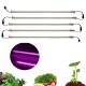 5PCS 30CM/50CM 7W Full Spectrum LED Rigid Grow Light Transparent Shell Plant Lamp for Greenhouses Flowers Seed 220V