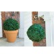 20cm Diameter Solar Powered Colorful LED Night Light Artificial Topiary Ball Outdoor Wedding Garden Lamp Christmas Decorations Lights