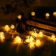 5M Solar Powered 20LED String Light Two Modes Garden Path Yard Decor Lamp Outdoor Waterproof 5M Solar Powered 20LED String Light Two Modes Garden Path Yard Decor Lamp Outdoor Waterproof