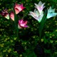 Colorful 4 LED Waterproof Solar Powered Lily Flower Garden Lawn Light Waterproof IP65 Lamp