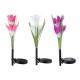 Colorful 4 LED Waterproof Solar Powered Lily Flower Garden Lawn Light Waterproof IP65 Lamp