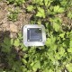 Solar Power 4 LED Buried Light Ground Lamp Cool/Warm White Outdoor Path Garden Decking Underground Lamp Solar Power 4 LED Buried Light Ground Lamp Cool/Warm White Outdoor Path Garden Decking Underground Lamp