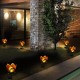 Solar Power Flower Light Outdoor Yard Warm White Stake Landscape Decor Lamp