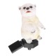 Solar Power Polar Bear Lawn Dector Garden Stake Landscape Lamp Outdoor Light Solar Power Polar Bear Lawn Dector Garden Stake Landscape Lamp Outdoor Light
