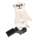 Solar Power Polar Bear Lawn Dector Garden Stake Landscape Lamp Outdoor Light