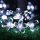 Solar Powered 7M LED Sakura Flower String Light Long Bright + Single Mode/7 Modes Outdoor Garden Blossom Lamp