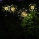 Solar Powered 8 Modes 120 LED Firework Starburst String Light Outdoor Waterproof Lawnscape Lamp DC3V Solar Powered 8 Modes 120 LED Firework Starburst String Light Outdoor Waterproof Lawnscape Lamp DC3V