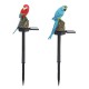 Solar Powered Parrot LED Landscape Lamp Waterproof Garden Outdoor Path Light Solar Powered Parrot LED Landscape Lamp Waterproof Garden Outdoor Path Light
