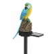 Solar Powered Parrot LED Landscape Lamp Waterproof Garden Outdoor Path Light