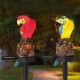 Solar Powered Parrot LED Landscape Lamp Waterproof Garden Outdoor Path Light