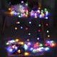 USB + Solar Powered 60 LED String Light Garden Path Yard Decor Lamp Waterproof USB + Solar Powered 60 LED String Light Garden Path Yard Decor Lamp Waterproof